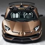 2020 Lamborghini Aventador SVJ Roadster Kaç Beygir