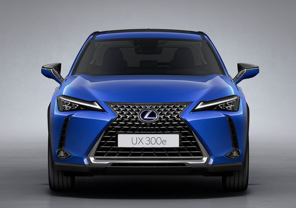 2021 Lexus UX 300e