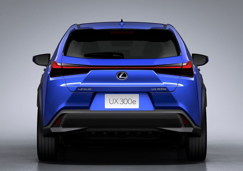 2021 Lexus UX 300e Menzili