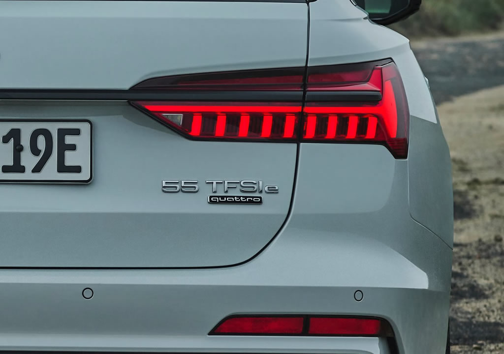 2020 Audi A6 Avant 55 TFSI e quattro Kaç Beygir?