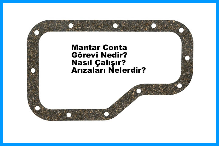 Mantar Conta Arızaları Nelerdir?