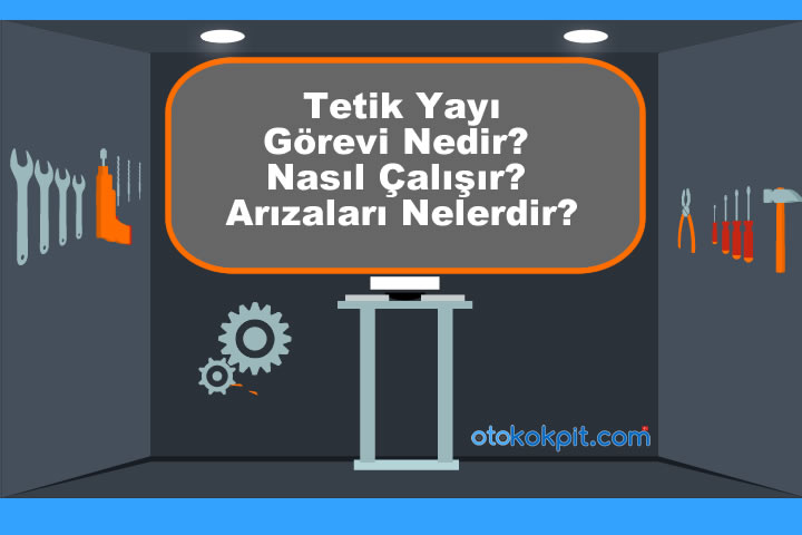 Tetik Yayı Görevi Nedir?