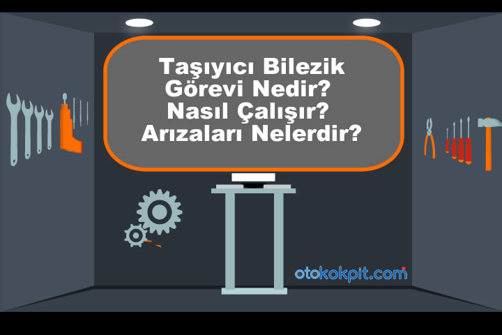 Taşıyıcı Bilezik Görevi Nedir?